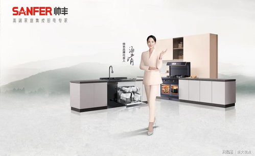 高考圆满落幕，大国品牌帅丰电器用“帅丰618灶动音乐节”为你接风